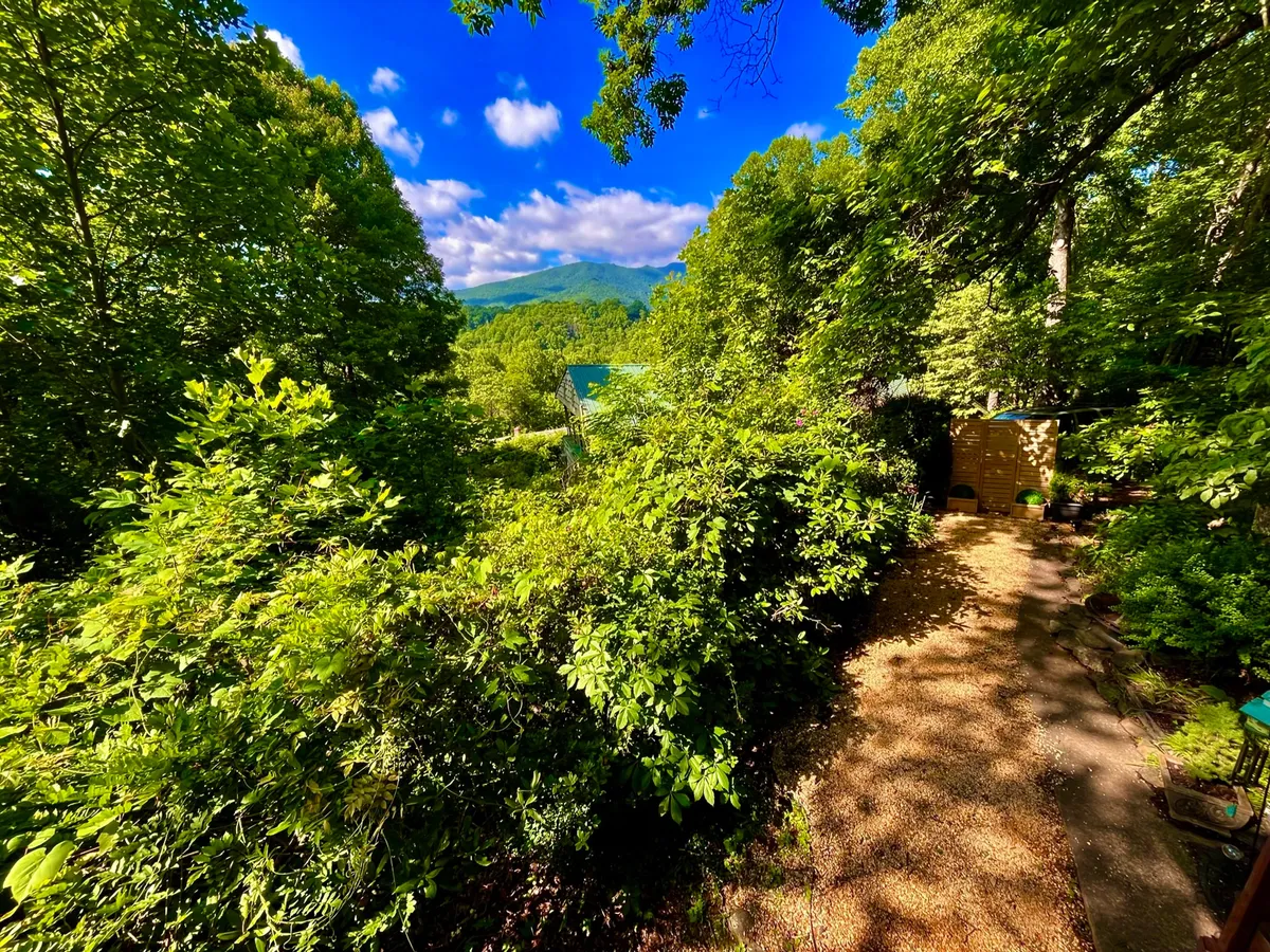 This image features a serene exterior scene with lush greenery, a winding pathway, and a sweeping mountain view in the background. The natural setting invites activities like nature walks, birdwatching, or simply relaxing and soaking in the tranquil mountain atmosphere.